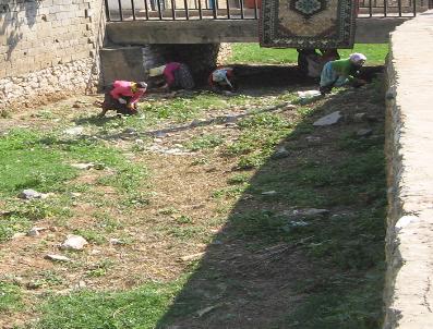 Derelerde Temizlik Çalışması