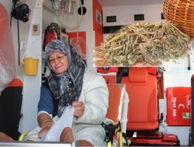 Kadınlar hamamın da büyük şok