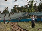 Kütahya‘da 12 Yıl İçinde Doğaya 4 Bin 50 Keklik Salındı