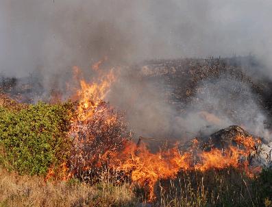 KADIR YıLMAZ - Yangını Söndürmek İsterken Hayatından Oldu