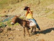 Vahşi Batının Değil, Kayalıboğaz Köyü’Nün Kovboyu