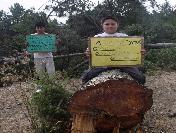 Köylüler Cuma namazındayken ağaçları kestiler