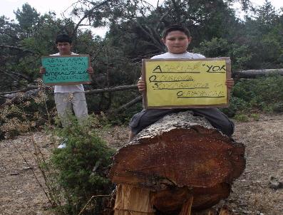 MEHMET KURT - Köylüler Cuma namazındayken ağaçları kestiler