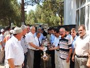 Sarıgöl‘de Köylüye 188 Gebe İnek Dağıtıldı