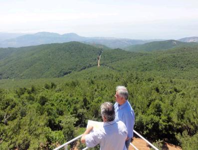 BAHARLAR - Orman Bölge Müdürü Kara, Ayvacık Orman İşletme Müdürlüğü’Nü Ziyaret Etti