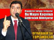 BDP mayınlı tarlayı gösterdi