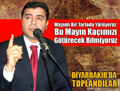 EROL DORA - BDP mayınlı tarlayı gösterdi