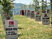 Şehit Aileleri Derneği’Nden Şehitler Ormanı