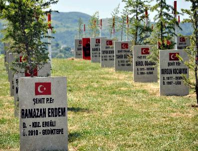 Şehit Aileleri Derneği’Nden Şehitler Ormanı