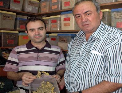 BENIN - Kazdağları’Nda Talana Tepki