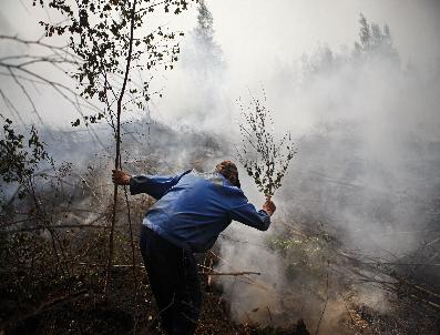 Moskova Bataklık Yangın