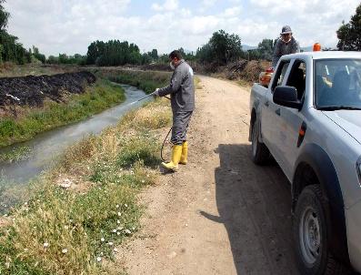 Belediye İlaçlama Faaliyetlerine Devam Ediyor