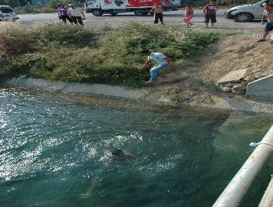 Sulama kanalında ölüm kalım mücadelesi
