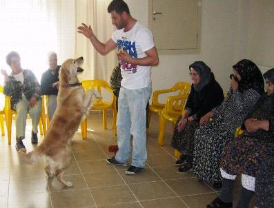 Hayvanlarla İlgilenen Yaşlıların Stresi Azalıyor