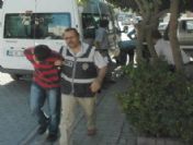 'ev Maymunları' Yakalandı