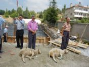 Harmancık`a Öğrenci Yurdu