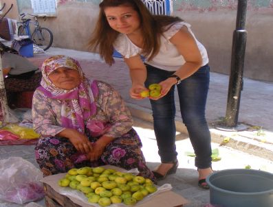 İlk Yerli İncir Pazara Çıktı