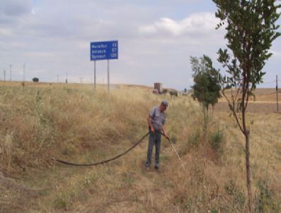 Ormancılardan Yol Kenarındaki Fidanlara Bakım