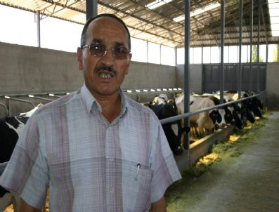 AKSARAY MERKEZ - Aksaray`da Süt Destekleme İcmalleri Askıya Çıktı