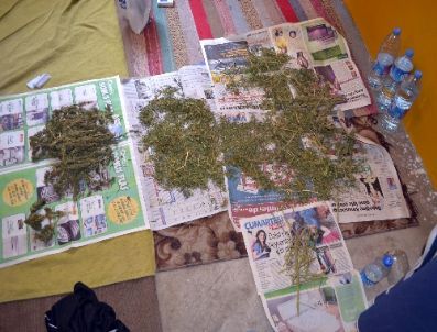 Esrarla Yakalanan 5 Kişi Tutuklandı