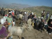 Hakkari`de Yaylalara Giriş Serbest Bırakılıyor