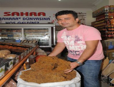 ÜLSER - Her Derde Deva: `meyan Kökü`