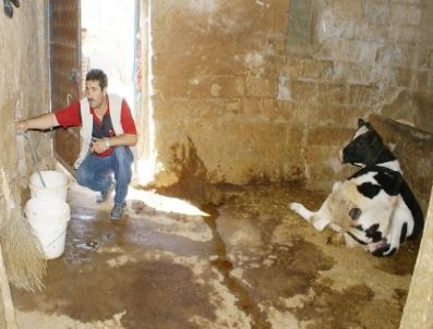 NEVZAT PALTA - Kaçak Su Kullanan 29 Kişiye 19 Bin Lira Ceza Kesildi