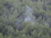 Kuşadası`ndaki Yangınlara Soruşturma