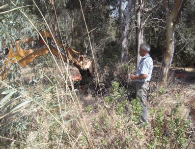 Güvercinlik Arıtması Rehabilite Ediliyor