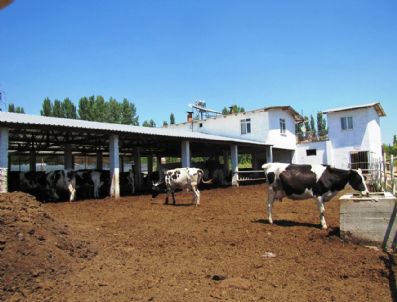 Hisarcıklı Üreticiye Süt Sağım Ünitesi ve Soğutma Tankı Desteği