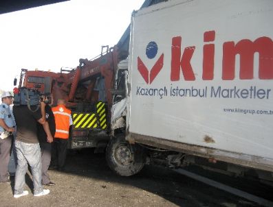 Yola Fırlayan Köpek Kamyoneti Devirdi: 1 Yaralı