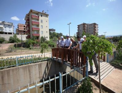 Başkan Karaosmanoğlu 60 Bin Ağacın Dikildiği Bölgeye Yakın İlgi