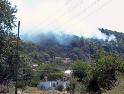 Dalaman’da Orman Yangını