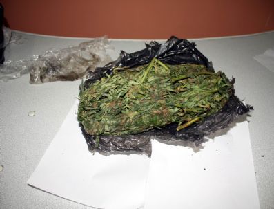 Erzincan’da 954 Gram Esrar Ele Geçirildi
