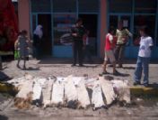 Güneş Altında Kurutulan Deriler Kötü Koku Yayıyor