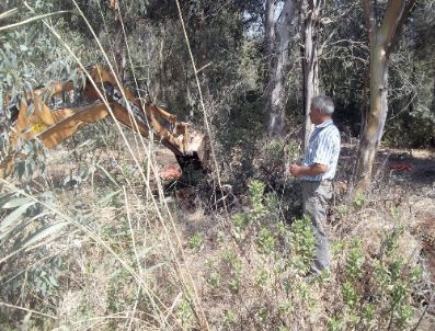 Güvercinlik’teki Deniz Kirliliği Kontrol Altına Alındı