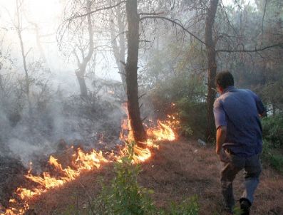 KOCADERE - Keşan’da Çıkan Orman Yangını Büyümeden Söndürüldü