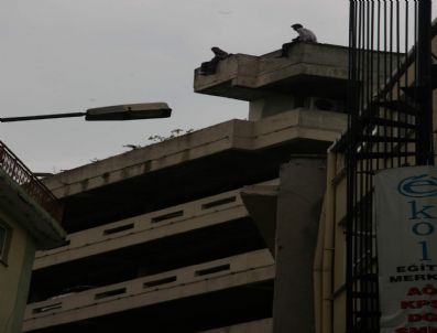 Kocaeli`nde İlginç İntihar Girişimi