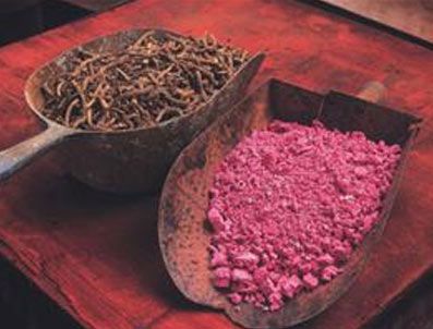 Kök boya üretip sanata sunacaklar