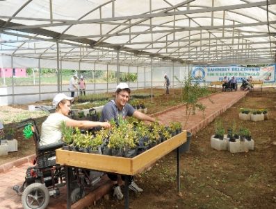 Şahinbey Belediyesi Engellilerin Elinden Fide Projesi İle Tuttu