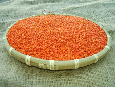 Tarım Bakanlığı'ndan 'mercimek' açıklaması