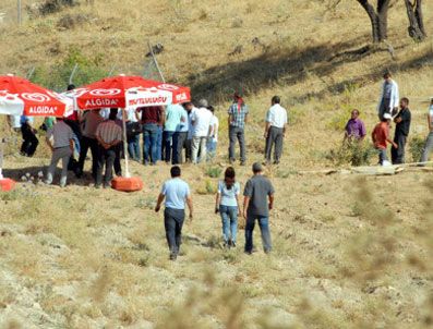 Tunceli'deki kazıda insan kemiklerine ulaşıldı