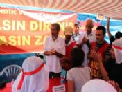 Çemişgezek`teki Kazıda 15 Kişinin Kemikleri Bulundu