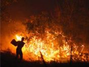 Çöplükteki yangın kontrol altına alındı