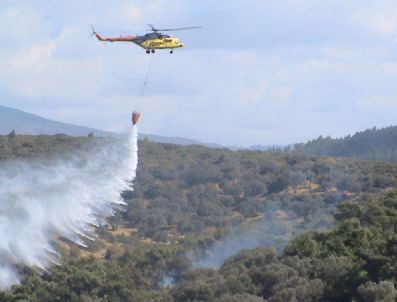 Foça`da Orman Yangını