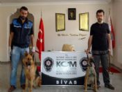 İran Uyruklu Şahıstan 12 Kilo Afyon Sakızı Ele Geçirildi