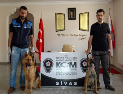 İran Uyruklu Şahıstan 12 Kilo Afyon Sakızı Ele Geçirildi