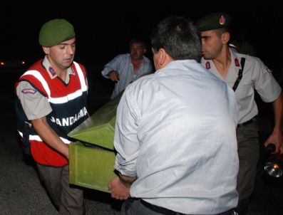 Köy Bekçisi Ormanda Ölü Bulundu