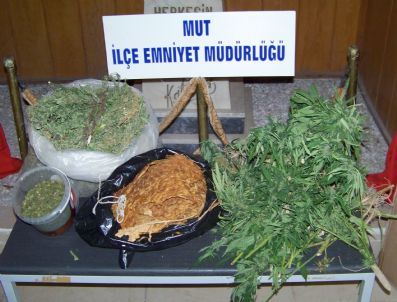 Mut’ta Uyuşturucu Operasyonu