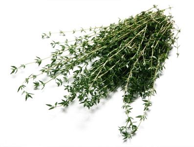 Kekikte sinek kovucu özellik